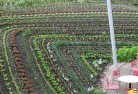 Happy Valley SApermaculture-5.jpg; ?>